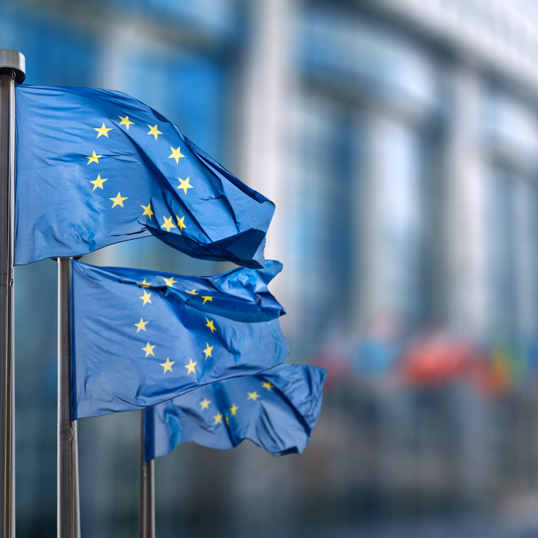 Government must reset EU trade relations, urges BCC 