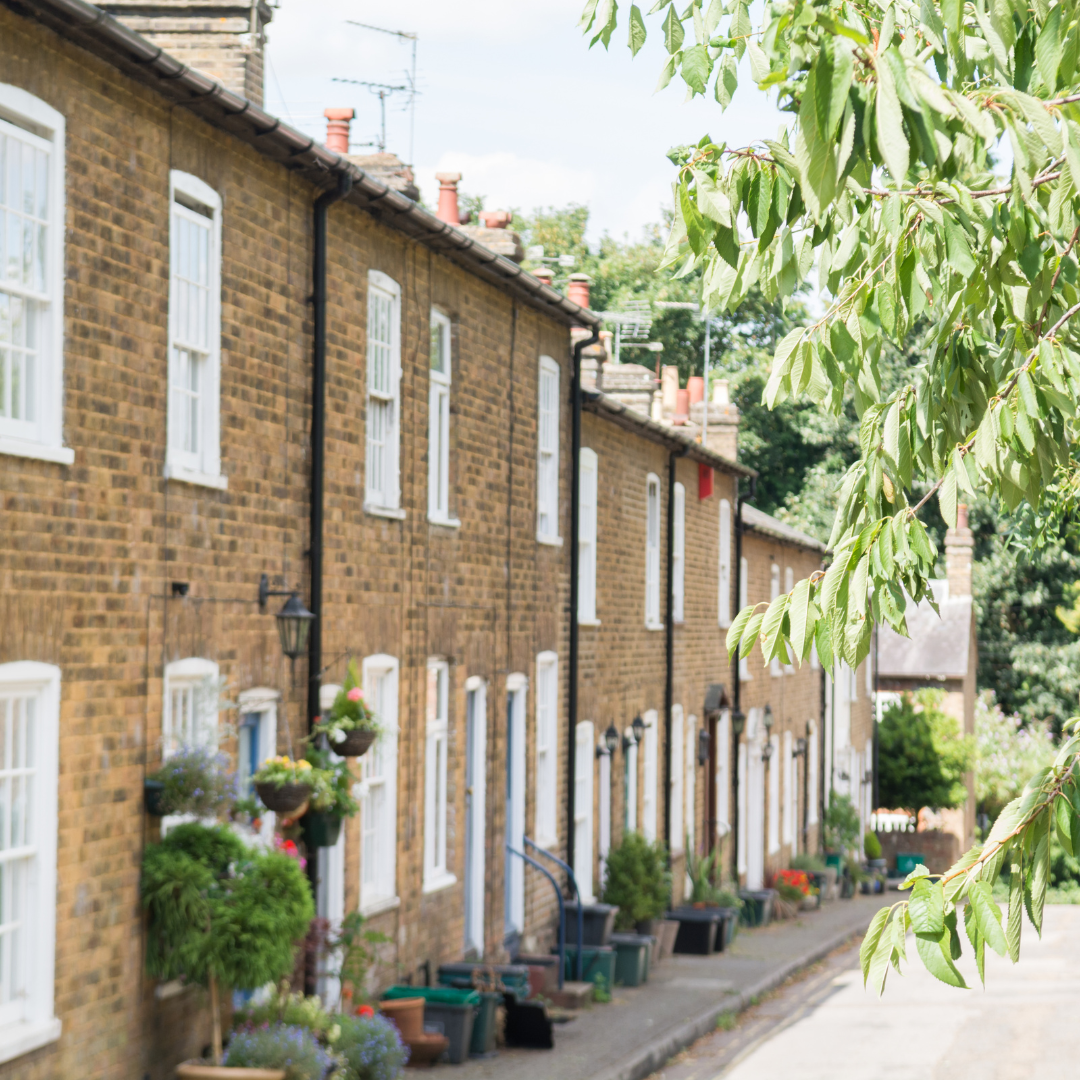 OECD cuts UK growth forecasts