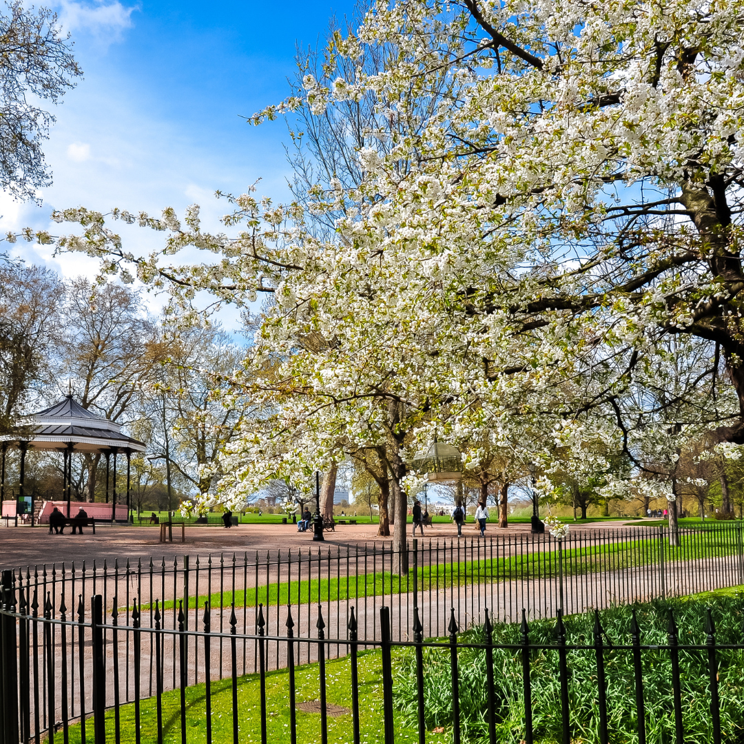 2025 Spring Statement – the political reaction