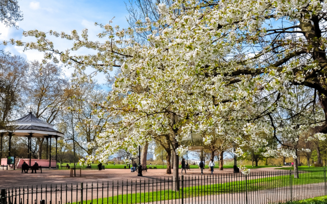 2025 Spring Statement – the political reaction