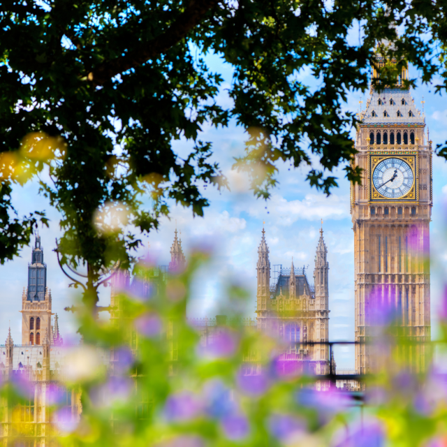 Spring Forecast to take place in March